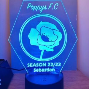 Bespoke Custom Logo 3D LED Night Light - Your Design