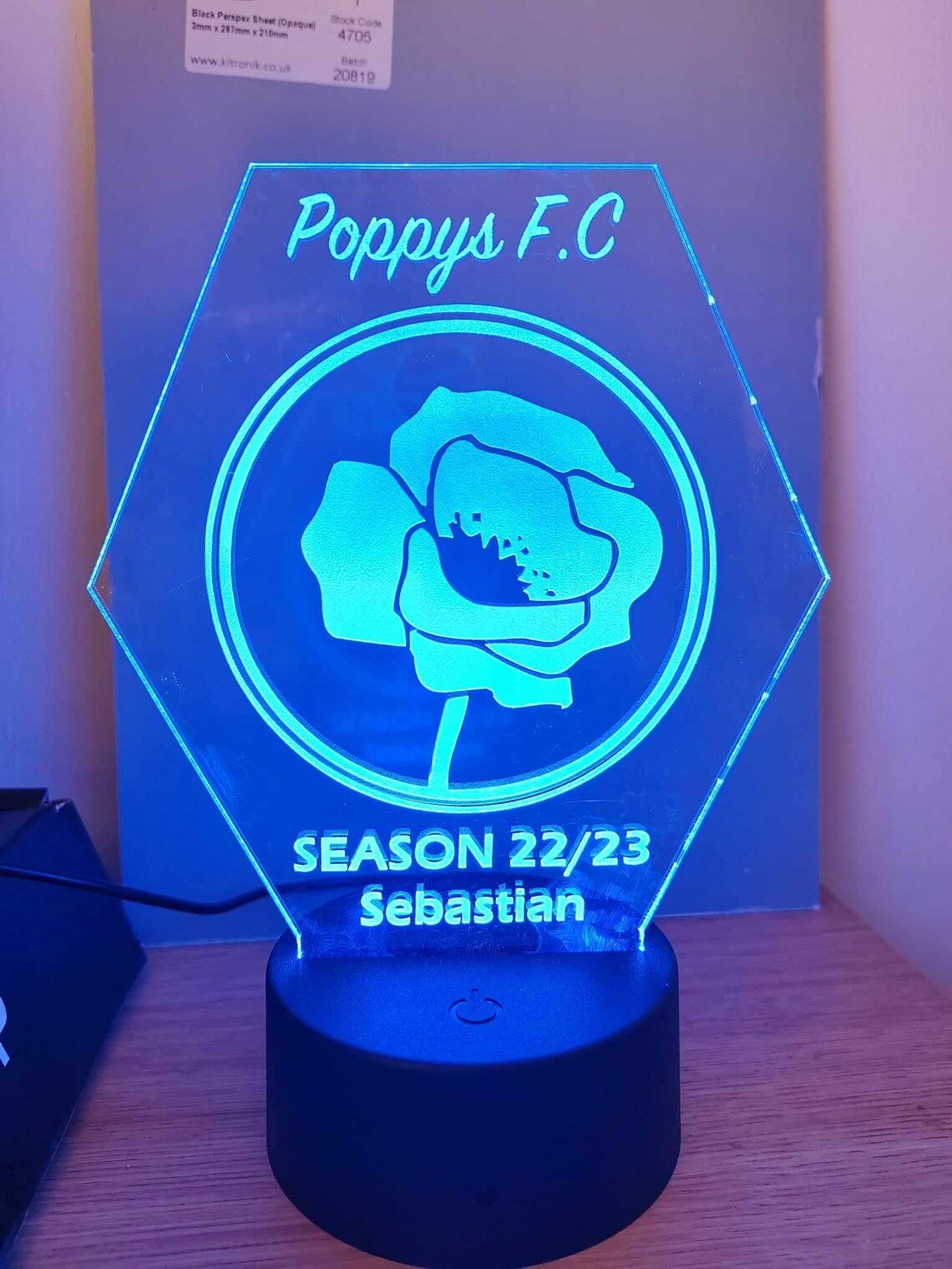 Bespoke Custom Logo 3D LED Night Light - Your Design