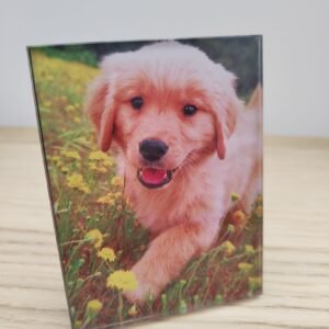 Personalised Acrylic Photo Freestand Plaque - Custom Desk & Shelf Decor