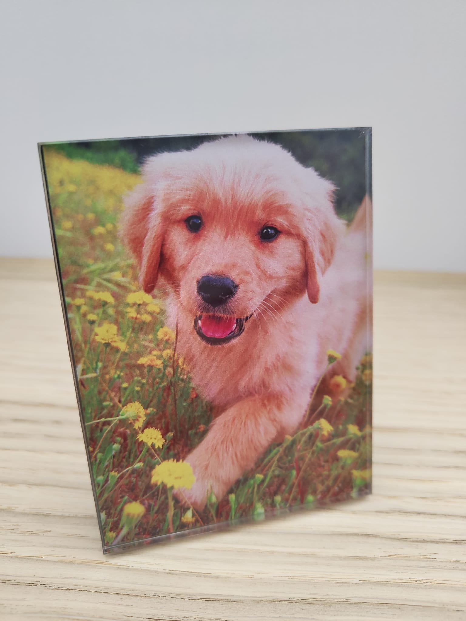 Personalised Acrylic Photo Freestand Plaque - Custom Desk & Shelf Decor